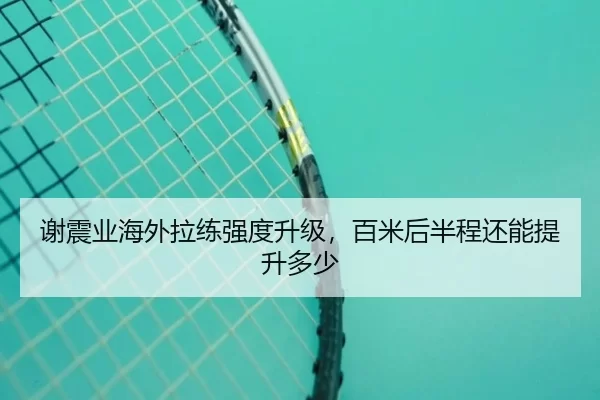 谢震业海外拉练强度升级，百米后半程还能提升多少